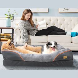 large dog bed – soft & comfortable orthopedic sponge foam | waterproof & washable cover | nspet